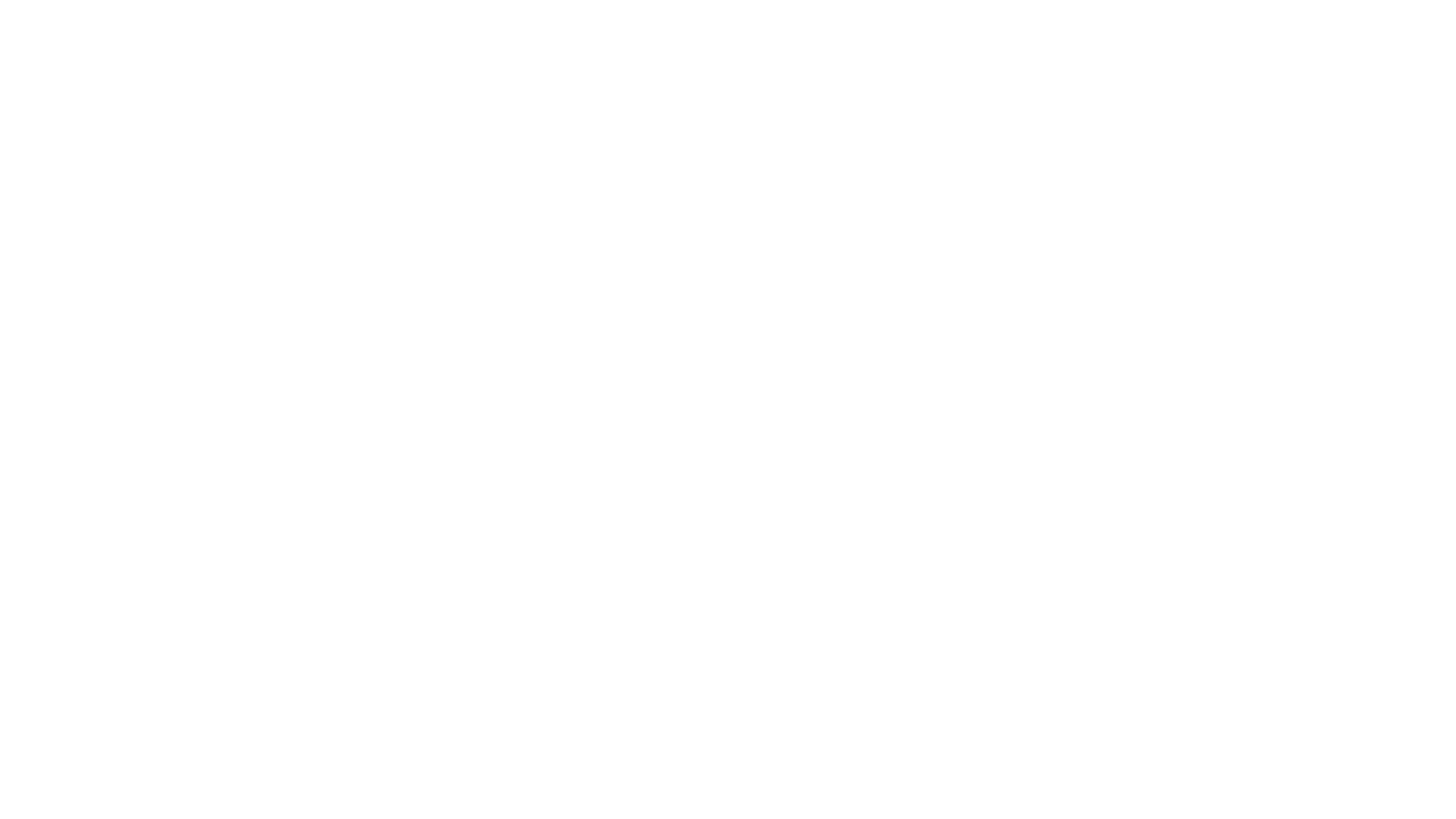 DN SHOP EUROPE
